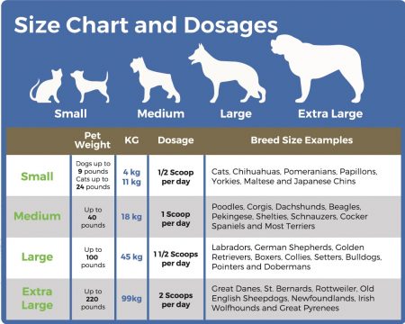 PET Collagen 450 gram - Image 2